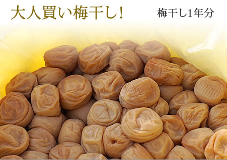 無添加　紀州南高梅一年分の梅干し大人買い
